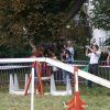foire-haricots 2011-09-17et18